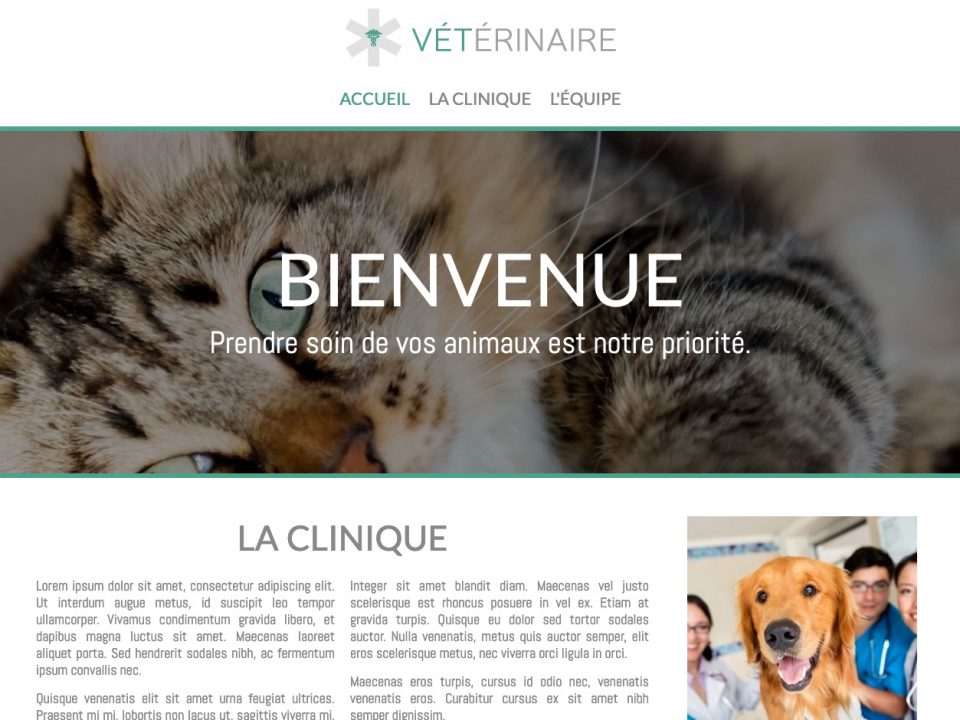 veterinaire